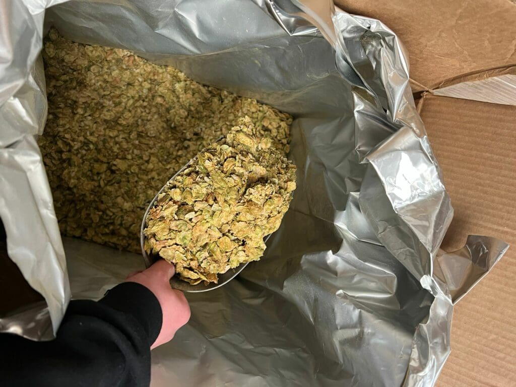 Beer Hops