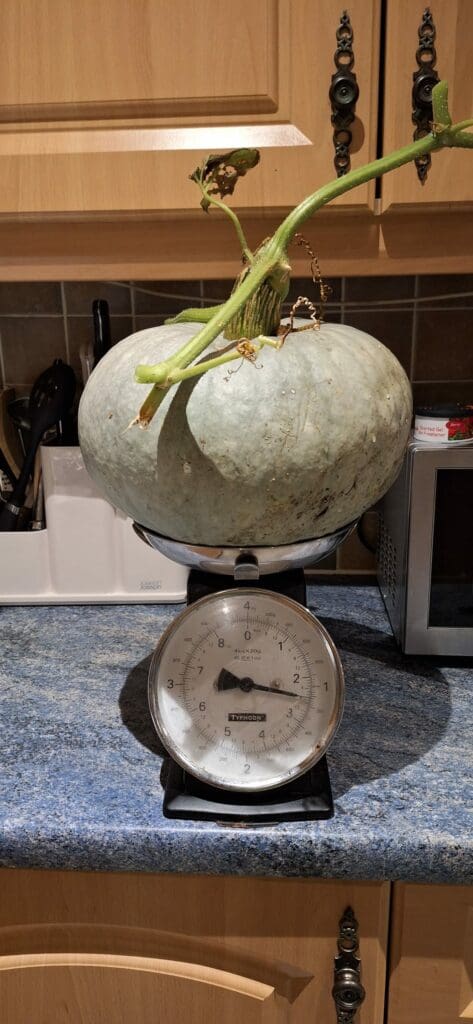Roasted Winter Squash